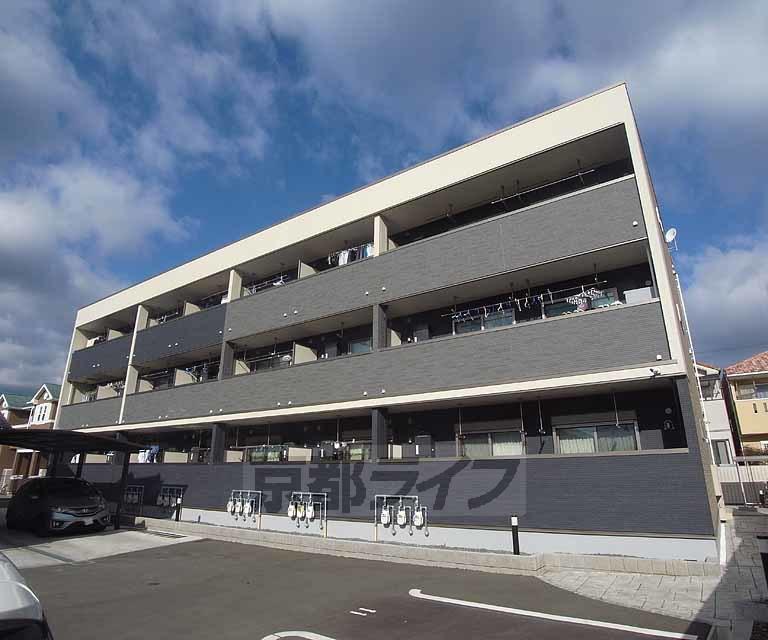 オーキッド