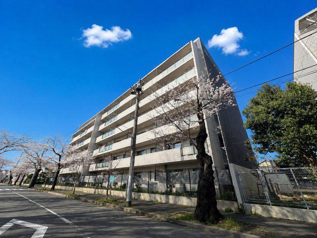 カーサグラン松戸(3LDK/2階)