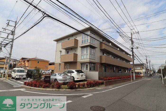 アネシス