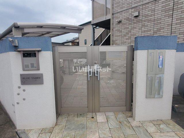 ブルータビー