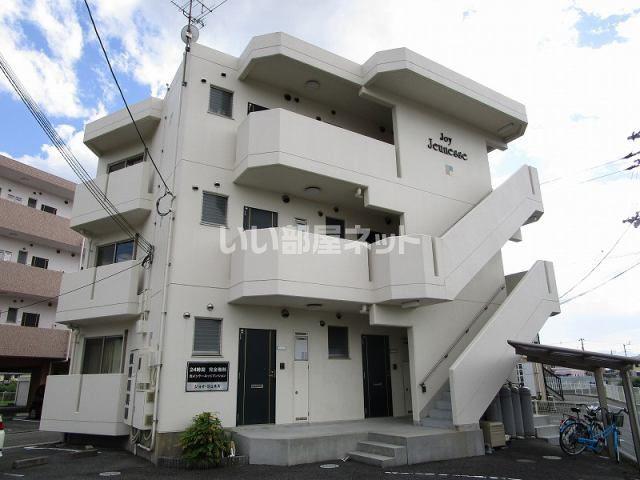 ジョイジュネス