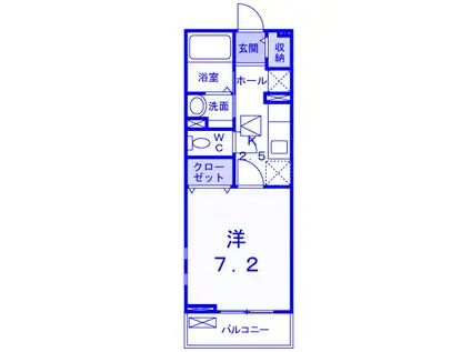 カーサ プラシード(1K/1階)の間取り写真