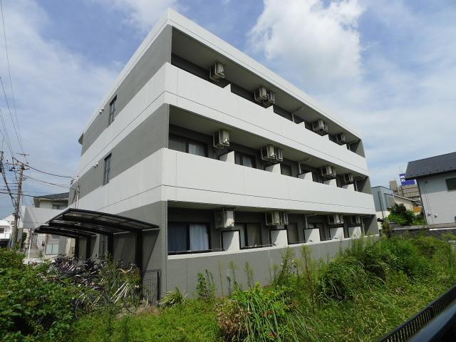 MARECAGE柏