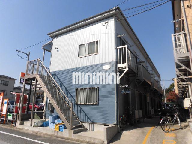 フローラ7