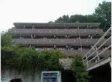スターダスト晴貞
