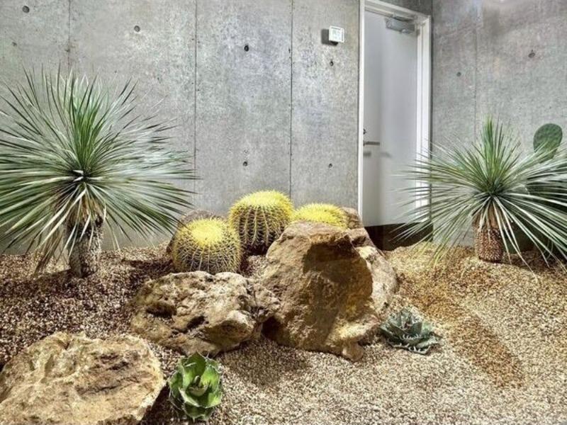 LEJONS GARDEN
