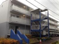 井吹東シティコート