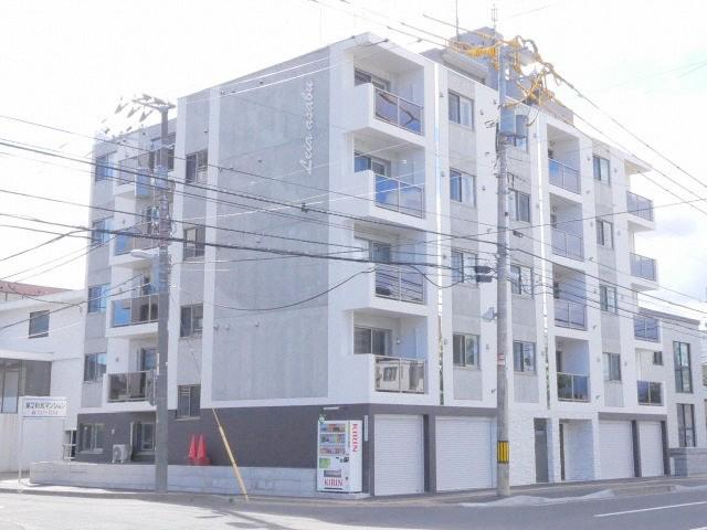 LEIA麻生