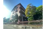 エクセレント丸太