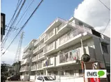 シャロム大和