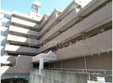 足立区マンション