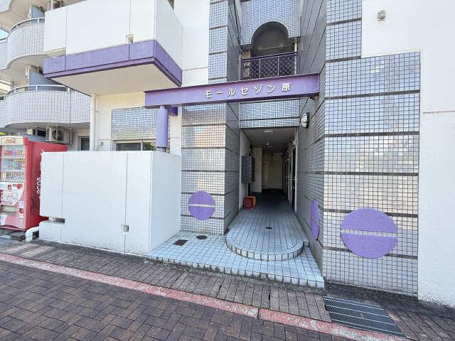 モールセゾン原
