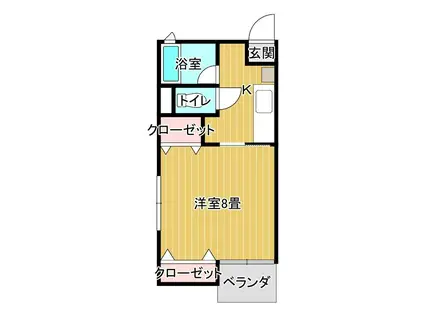 バウハウス若葉(1K/1階)の間取り写真