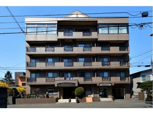 エンブレム竹原(2LDK/4階)