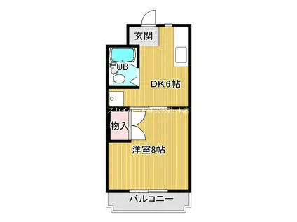 ハイライズHIRAI(1DK/5階)の間取り写真