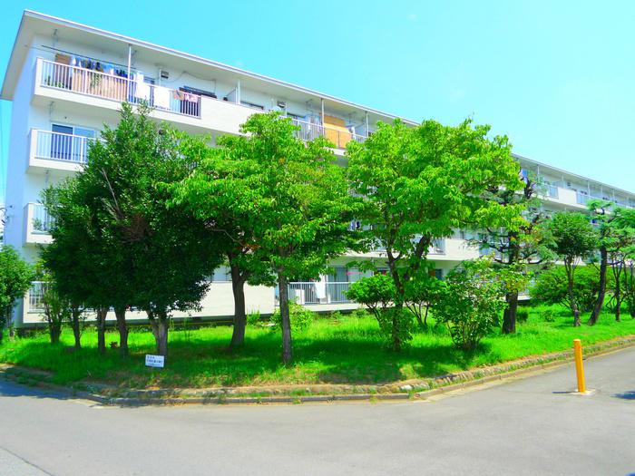 根貝戸団地2号棟(2LDK/3階)