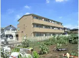 BLOSSOM GARDENII