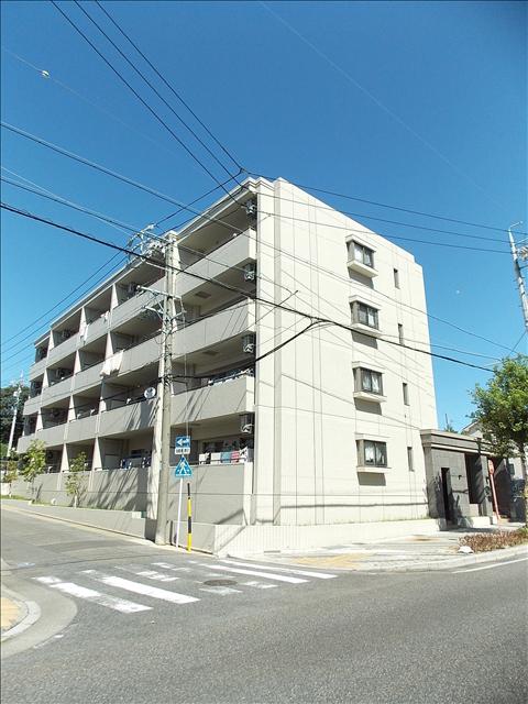  STAGE IKAI 