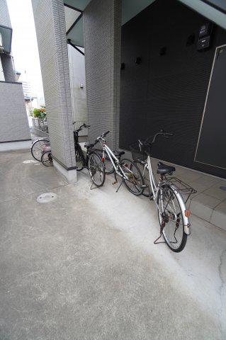 BRCA UNAバルカウーナ