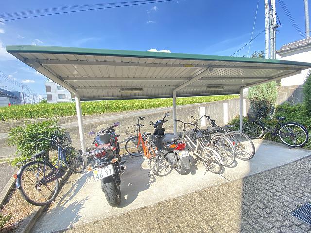 フリーダム