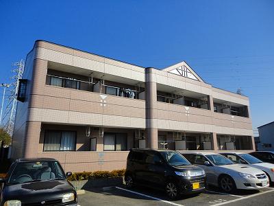 フェリシア青地