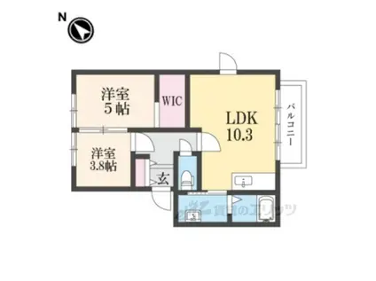 第2コスモハイツ(2LDK/2階)の間取り写真
