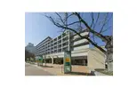 アクティ目黒駅前2棟