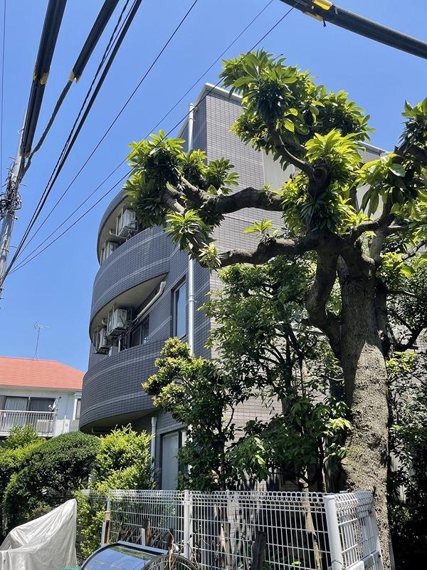 ハイマット旗の台