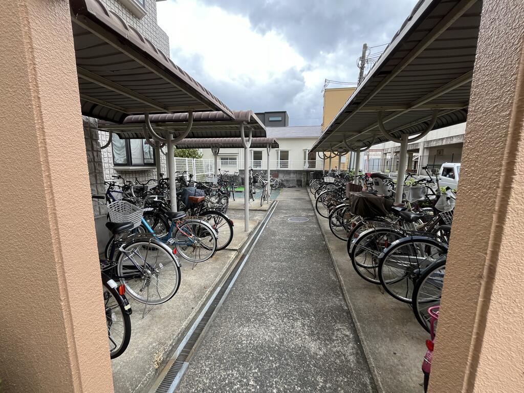 アルベーロわせい