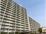 浅香山グリーンマンション