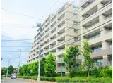 ウォルトンズコート長津田D棟