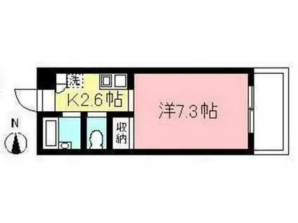 サクセス南大沢(1K/1階)の間取り写真