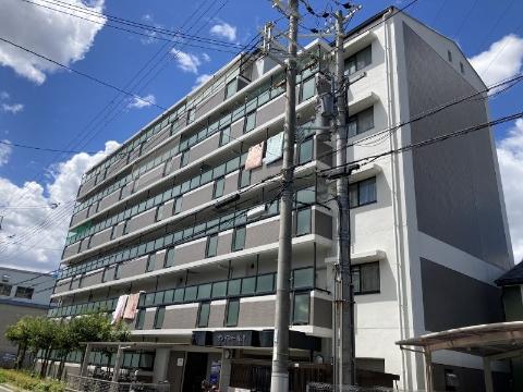 グレイシーKY