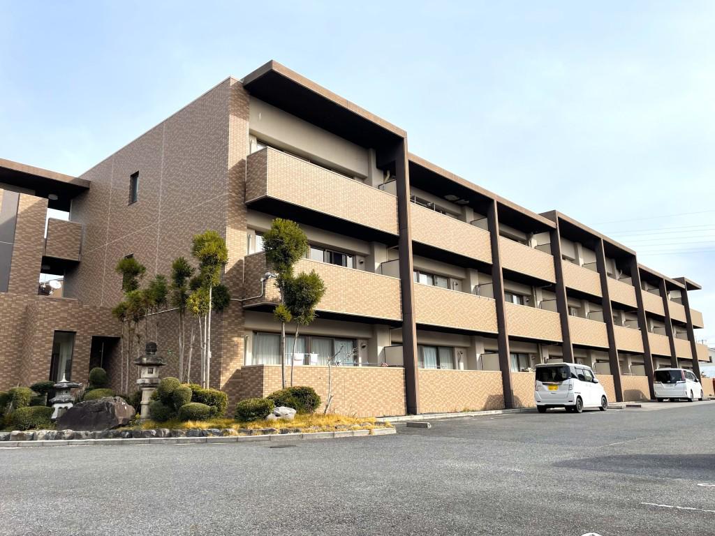 ダンデライオン