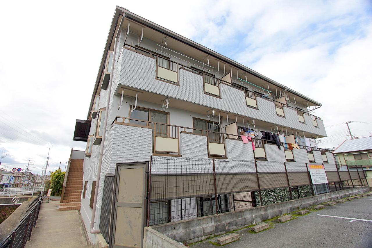 ステラ幾野