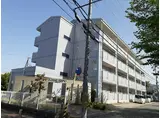 シュロスアリノ