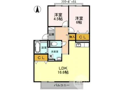 グレースA・B(2LDK/1階)の間取り写真