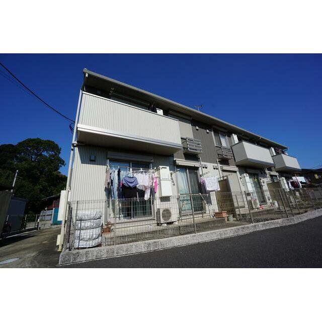 スカイウイング