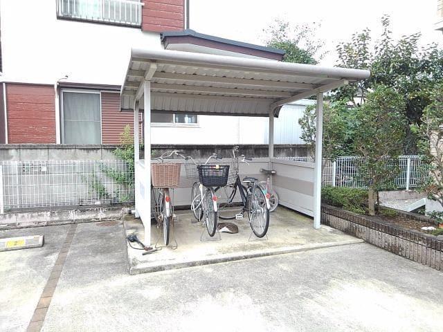 カメリアA
