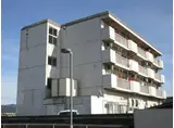 吉岡マンション