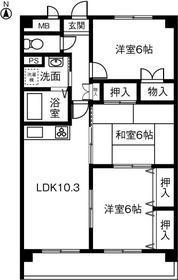 ドリーム來(3LDK/3階)の間取り写真