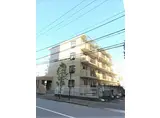 清水マンション