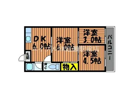 野田マンションC棟(3DK/1階)の間取り写真