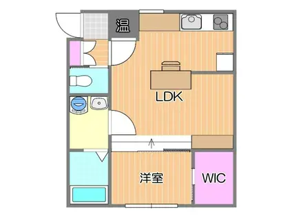 MA MAISON(1LDK/1階)の間取り写真