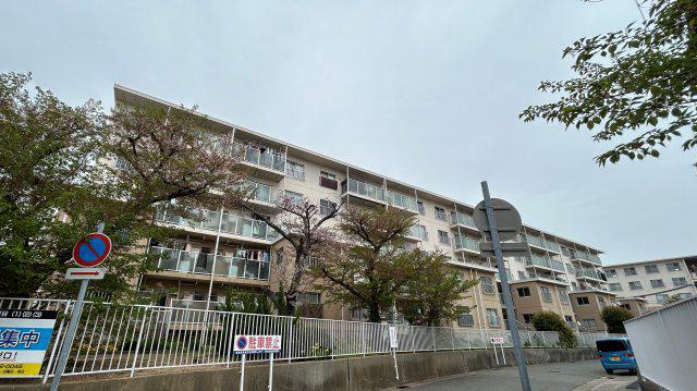 兵庫県神戸市西区 5階建 築54年
