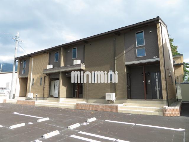 ワイズ アドニス III A