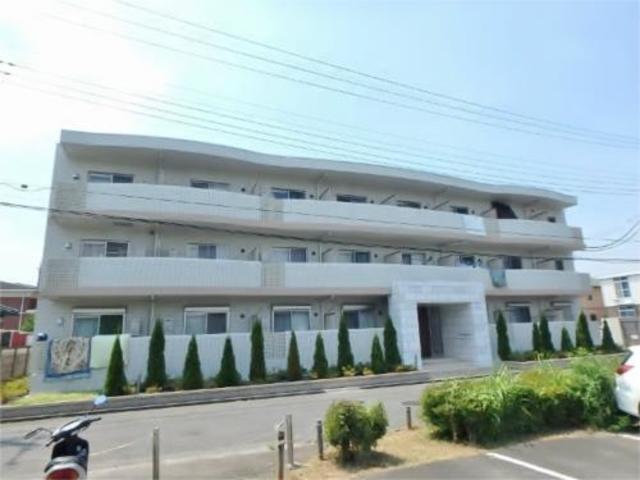 クーチャ万願寺