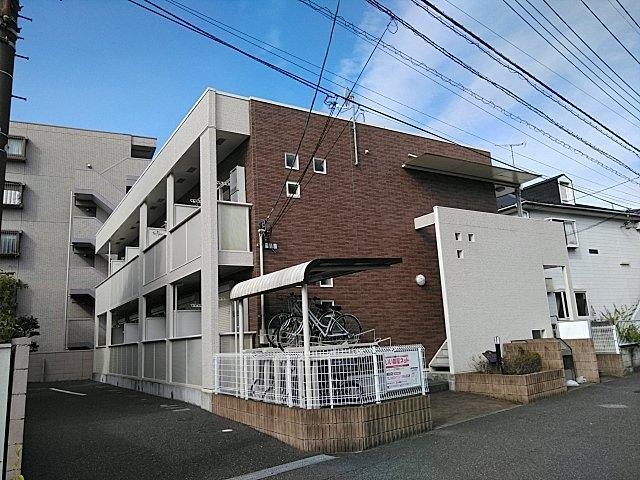 リーヴ・ルピナス