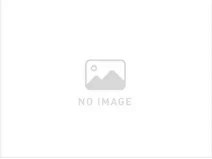 ハーモニーテラス亀島II(1SDK/1階)の間取り写真