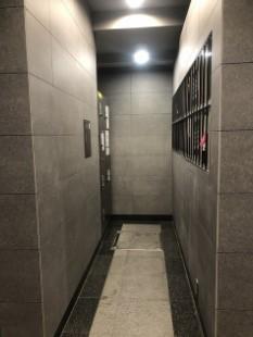 インプルーブ白金